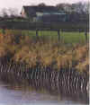 In Schichen 9-98-17a.jpg (21466 Byte)