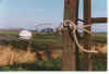 Isolatschoon 11-98-02.jpg (18355 Byte)