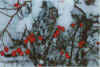 Joeoekappeln in Snee 12-98-20.jpg (20063 Byte)