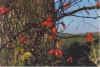 Joeoekappeltwieg 10-98-32.jpg (23148 Byte)