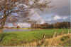 Kaat uennern Regenbagen 4-98-23.jpg (32058 Byte)