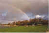 Regenbagenduppel 4-98-22.jpg (14280 Byte)