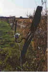 Se hebbt nich dat Leit 6-98-36a.jpg (28660 Byte)