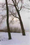 Twee inn Snee 12-98-27.jpg (23146 Byte)
