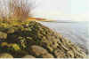 Wehrhaftig 5-98-33a.jpg (30370 Byte)