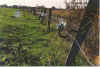 Wierdraht 9-98-23a.jpg (31942 Byte)