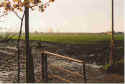 Breetpett 04-01-14.jpg (29133 Byte)