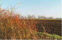 Ploegt un eegt 9-93-24a.jpg (31153 Byte)