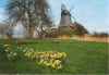 Bildergalerie Mrz